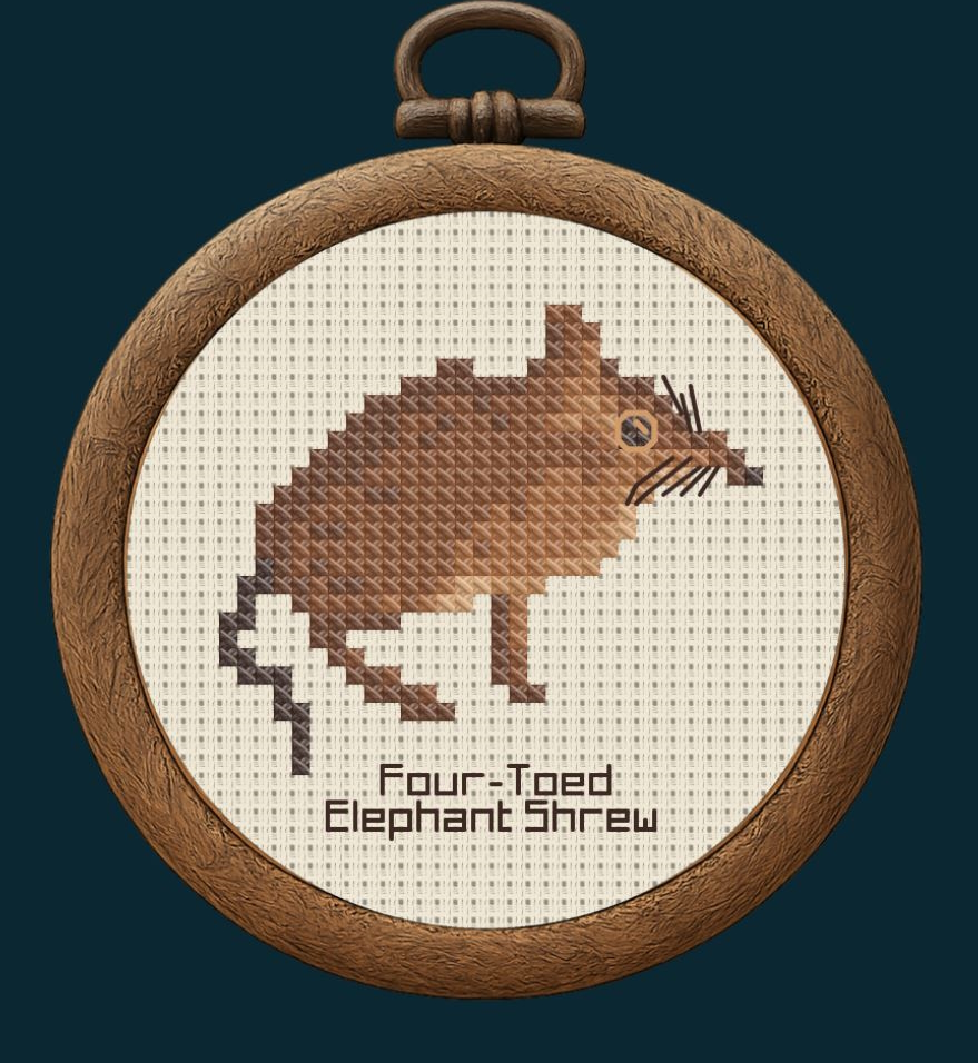 Mockup of the Four-Toed Elephant Shrew pattern, within an embroidery hoop