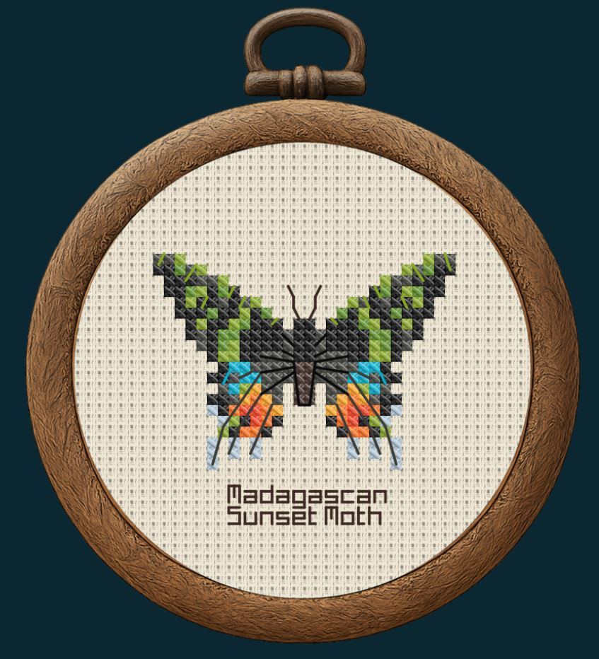 Mockup of the Madagascan Sunset Moth pattern, within an embroidery hoop